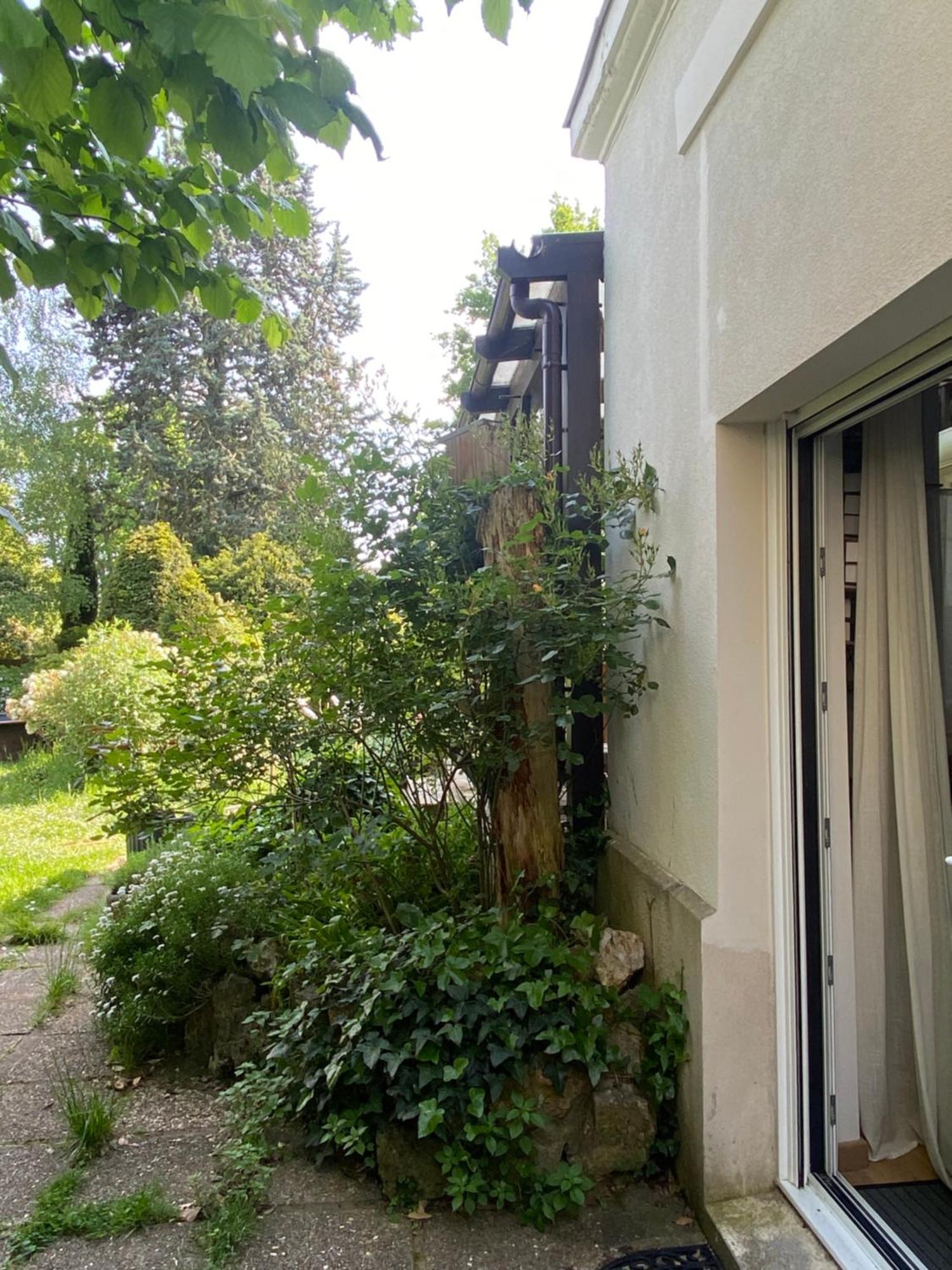 Les Charmettes Chambre D Hotes Independante Villemoisson-Sur-Orge Exterior photo
